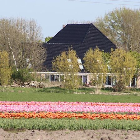B&B Heeringhuusen Haringhuizen エクステリア 写真