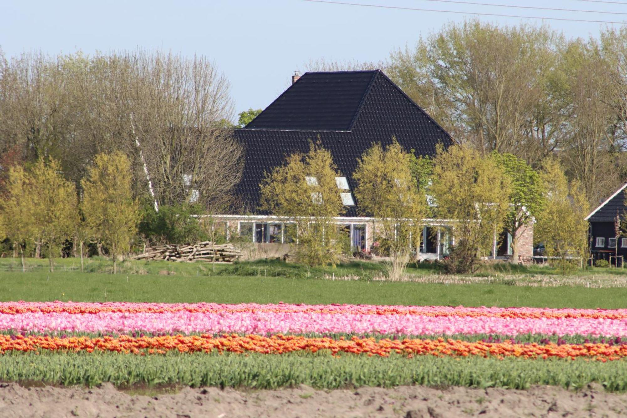 B&B Heeringhuusen Haringhuizen エクステリア 写真