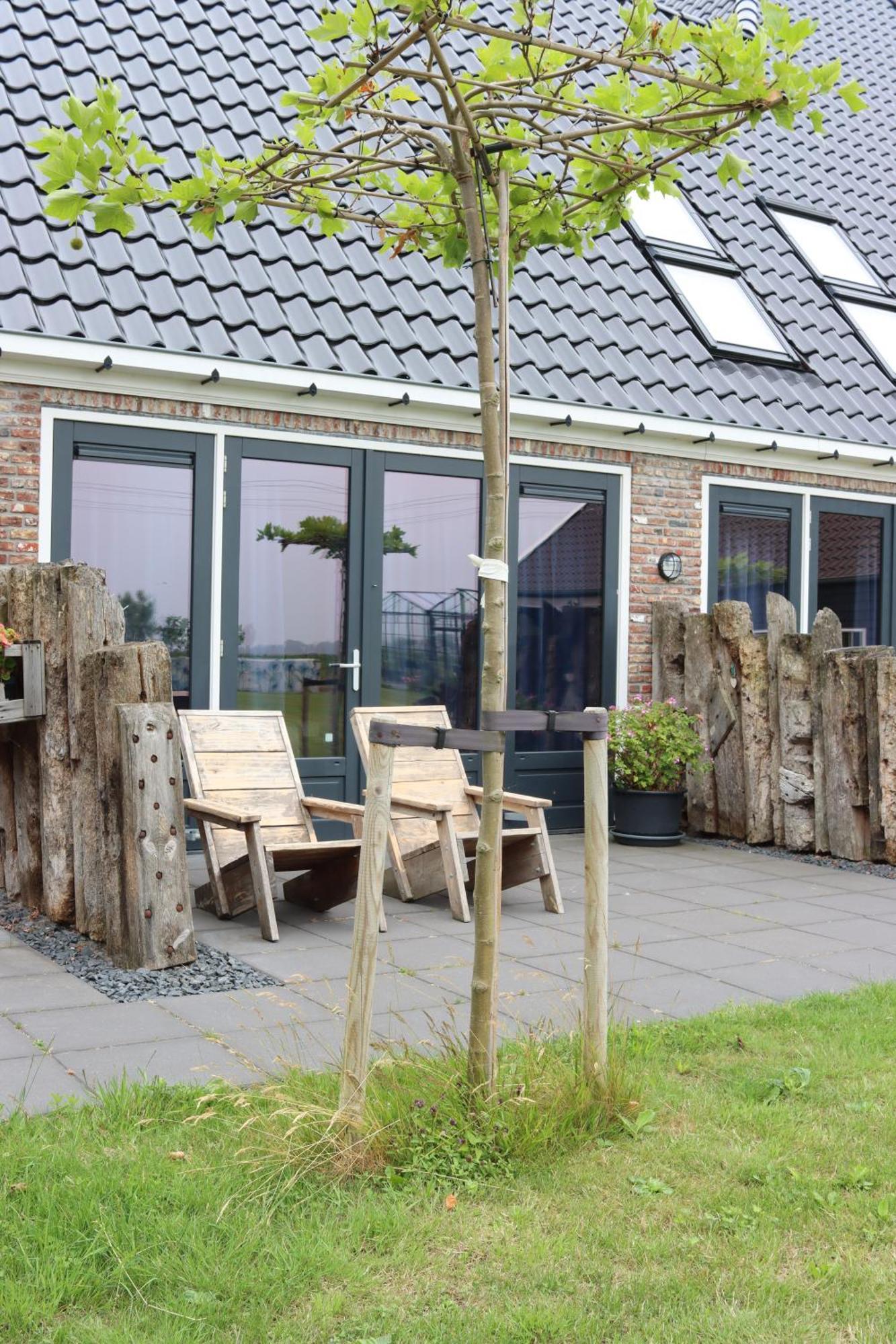B&B Heeringhuusen Haringhuizen エクステリア 写真